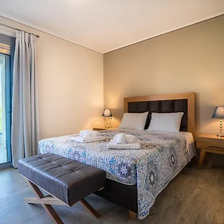 Leandros Villa *